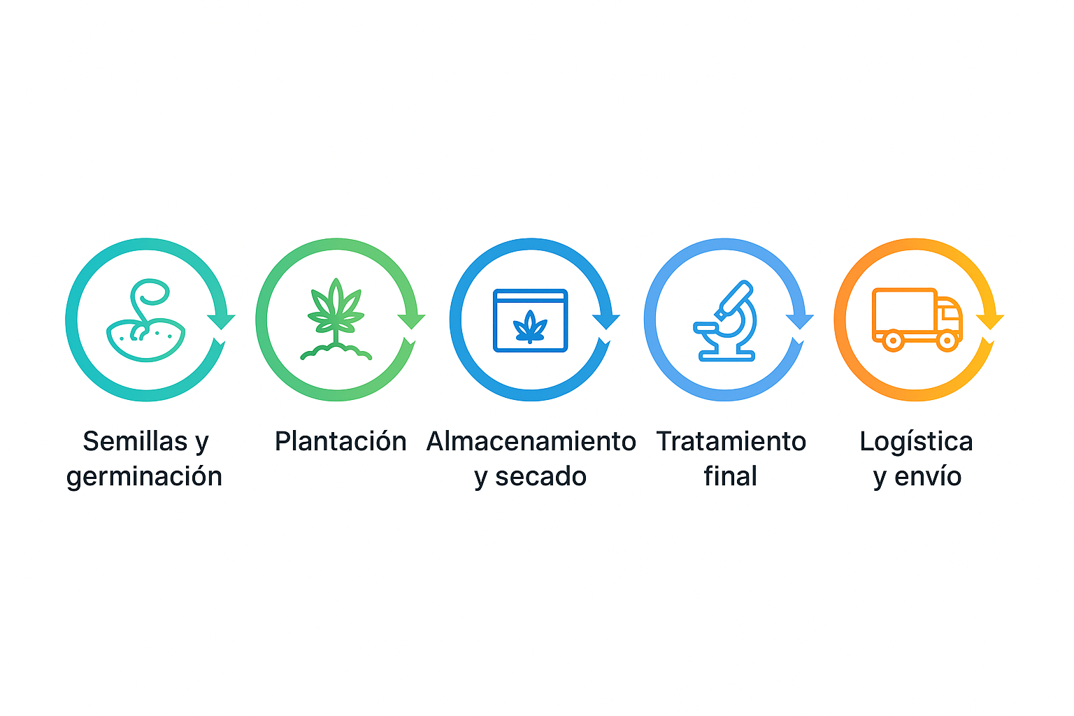 Diagrama del proceso de trazabilidad: Semillas y germinación, Plantación, Almacenamiento y secado, Tratamiento final, Logística y envío
